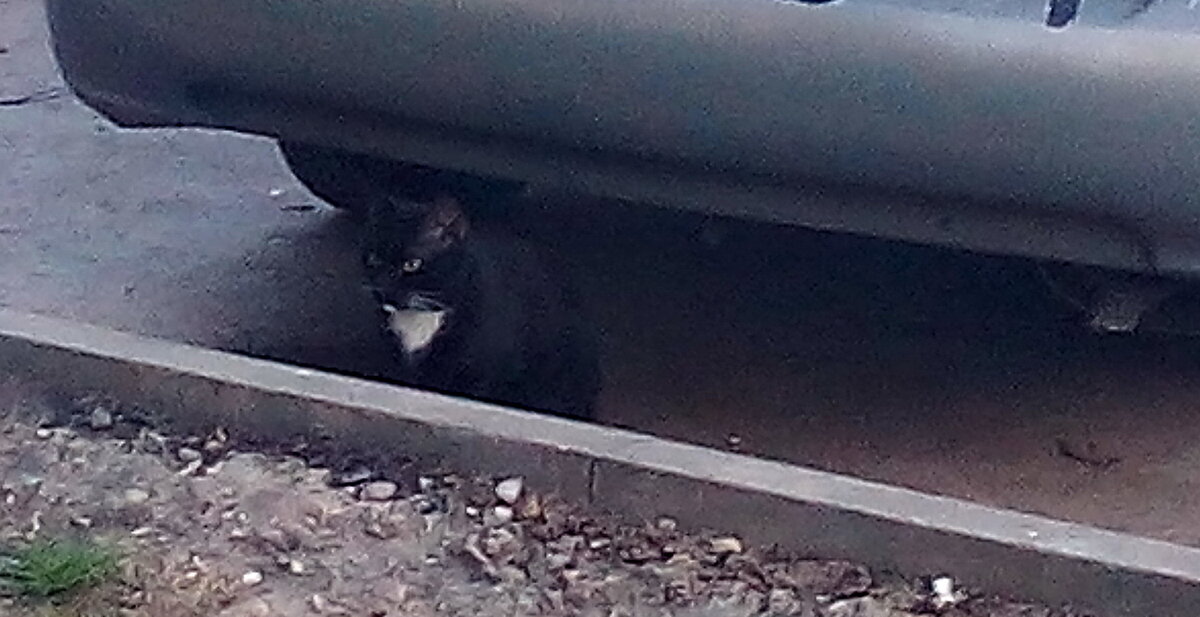 Личное фото .