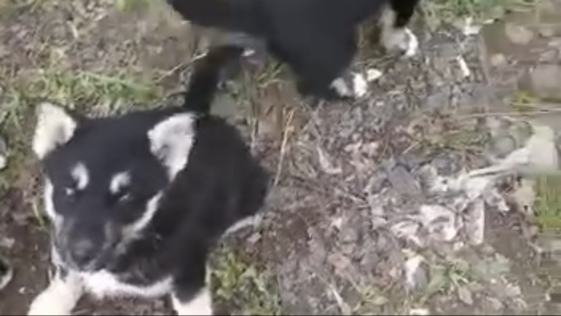 -2-3