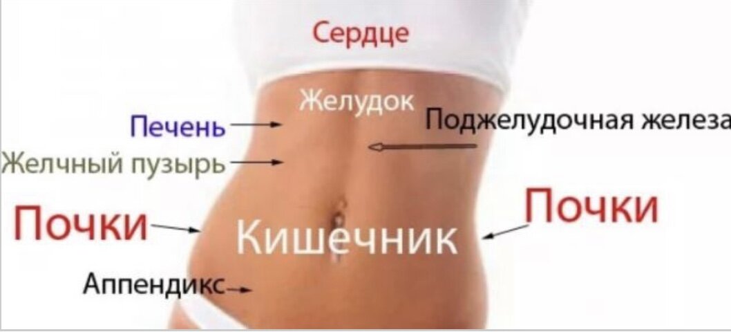 Справа снизу. Боль под желудком. Левый бок. Дискомфорт в левом боку сверху живота. Болит левый бок на талии.