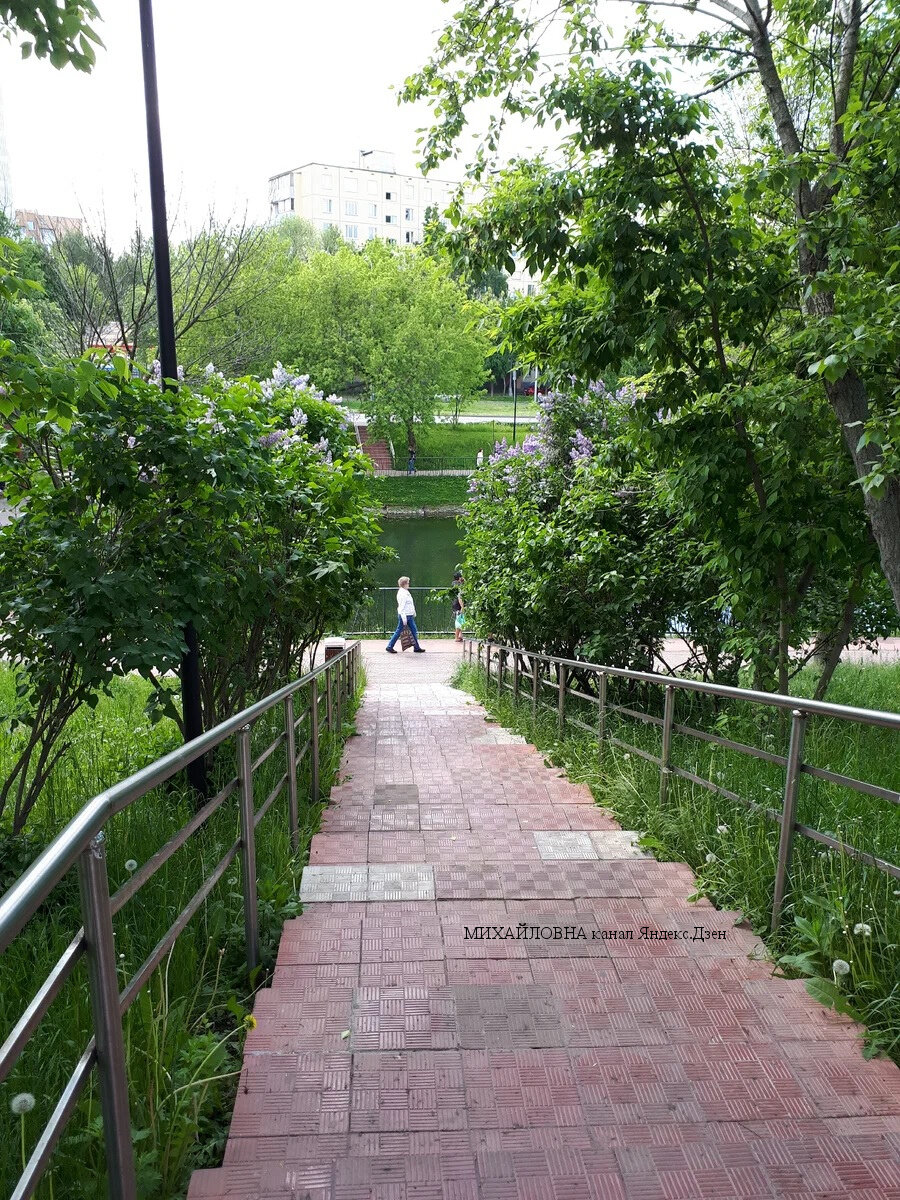 цветет сирень, Москва утопает в зелени