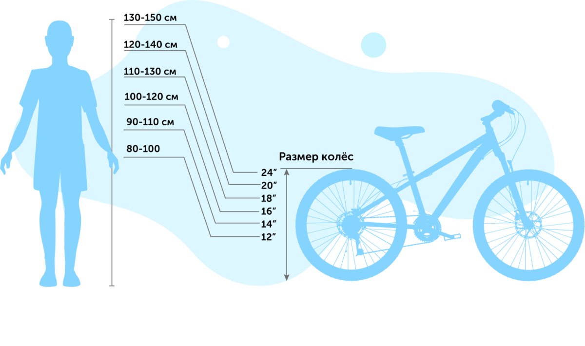 Велосипед 5 лет какой диаметр колес. Размер колёс велосипеда по росту ребенка таблица. Какой диаметр колес велосипеда выбрать ребенку 11 лет. Подбор велосипеда по росту ребенка таблица для детей. Велосипед по росту ребенка.