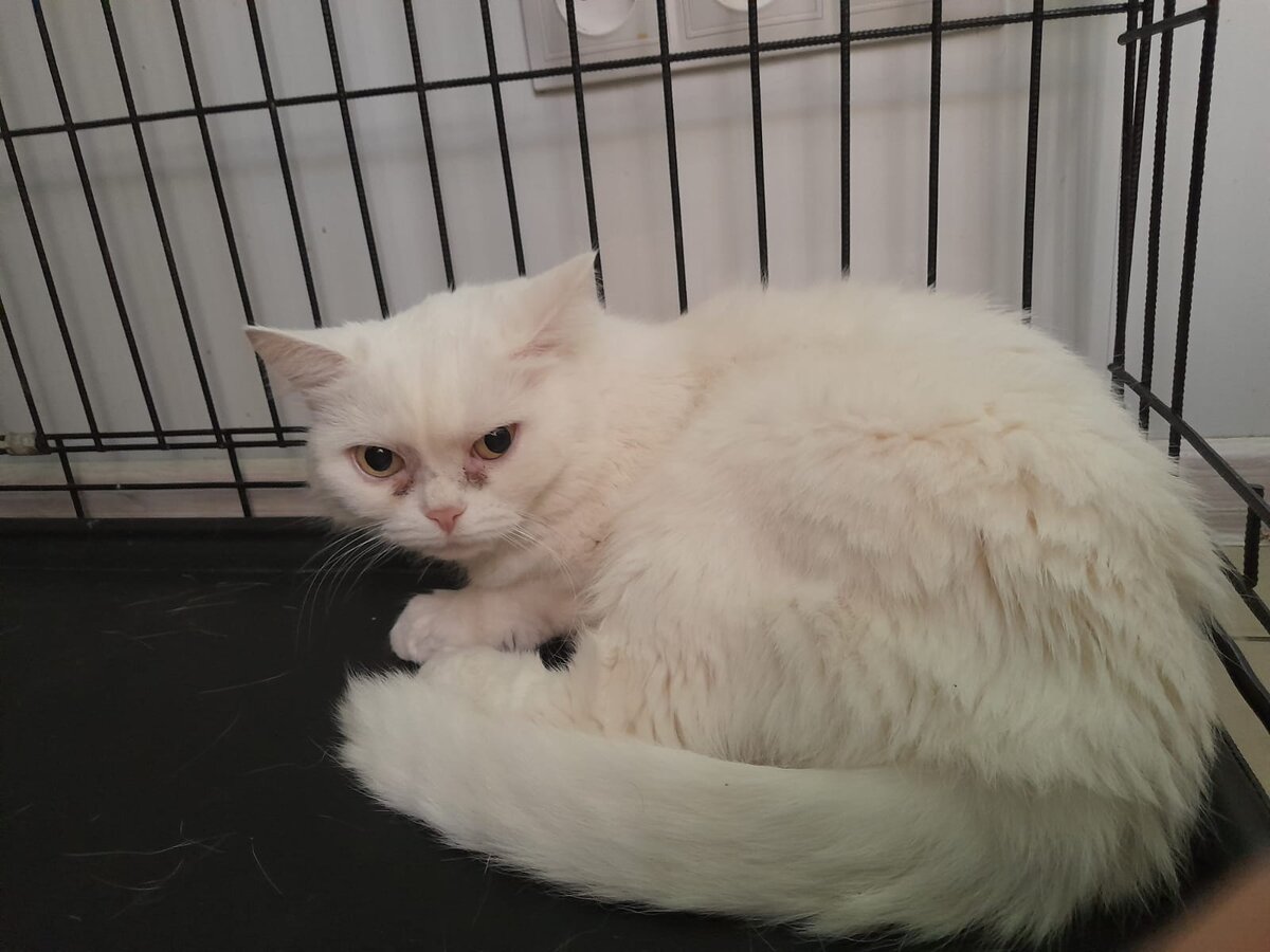 Кира передаёт всем огромный привет 