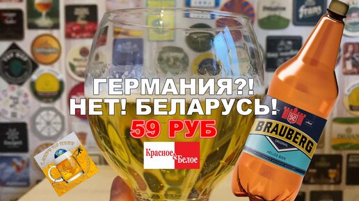 Новое пиво Brauberg Original из К&Б за 59 рублей!