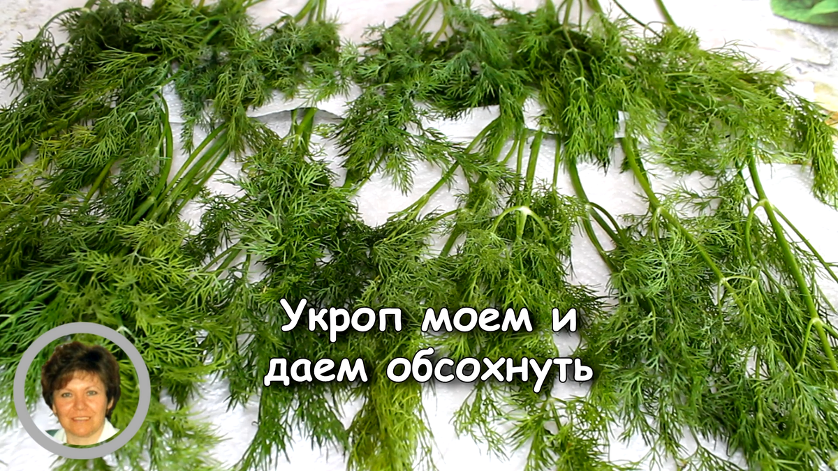 Что делать с остатками укропа? Готовим чесночно-укропное масло для  бутербродов | Позитивная кухня - Bon appétit | Дзен