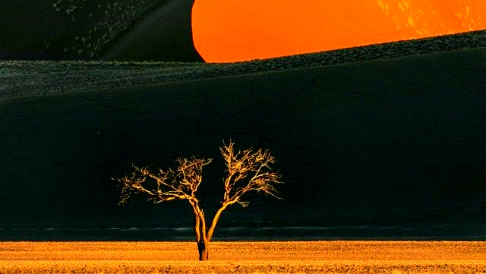 Фотографии из открытых источников