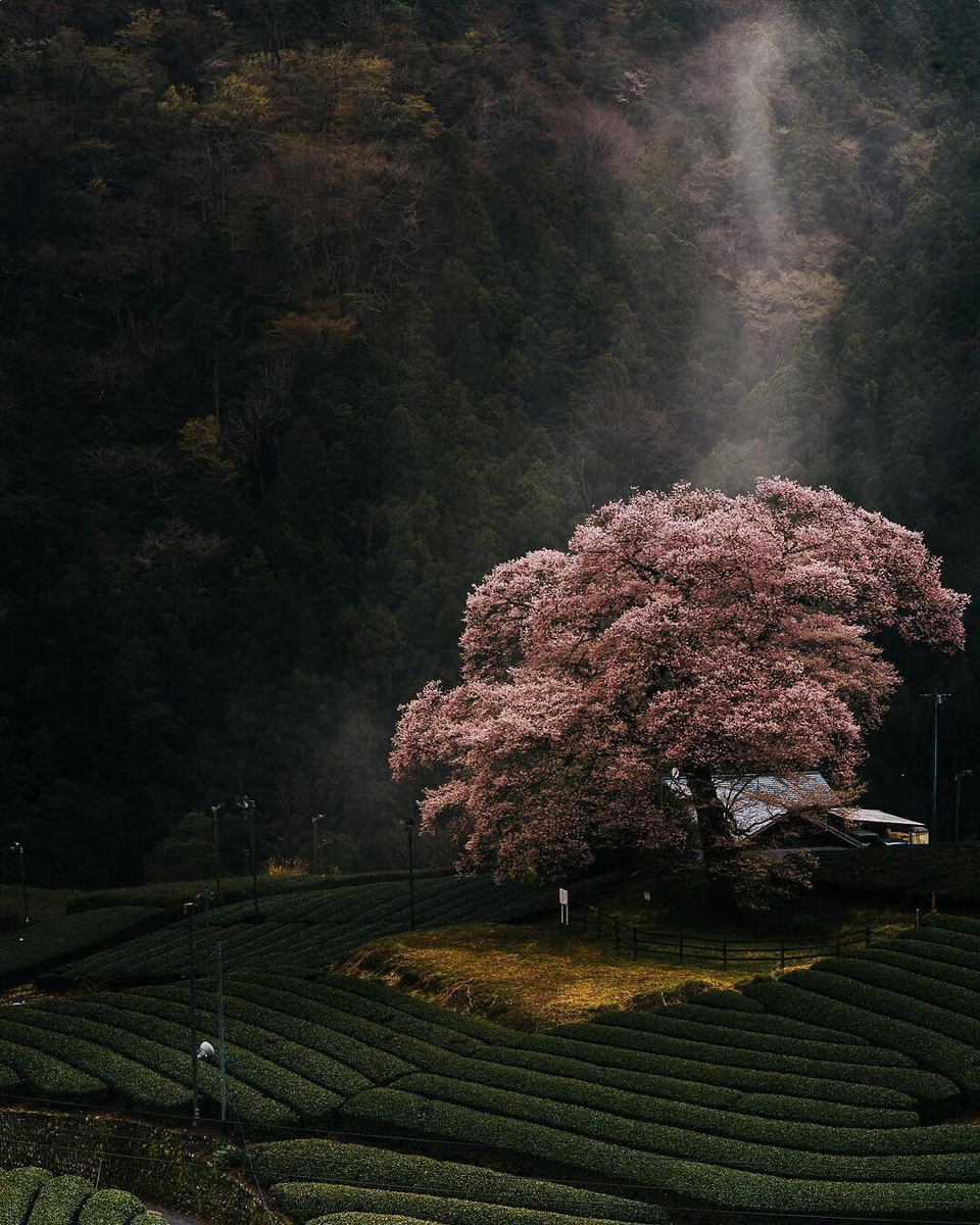 Люблю атмосферные фотографии  :)