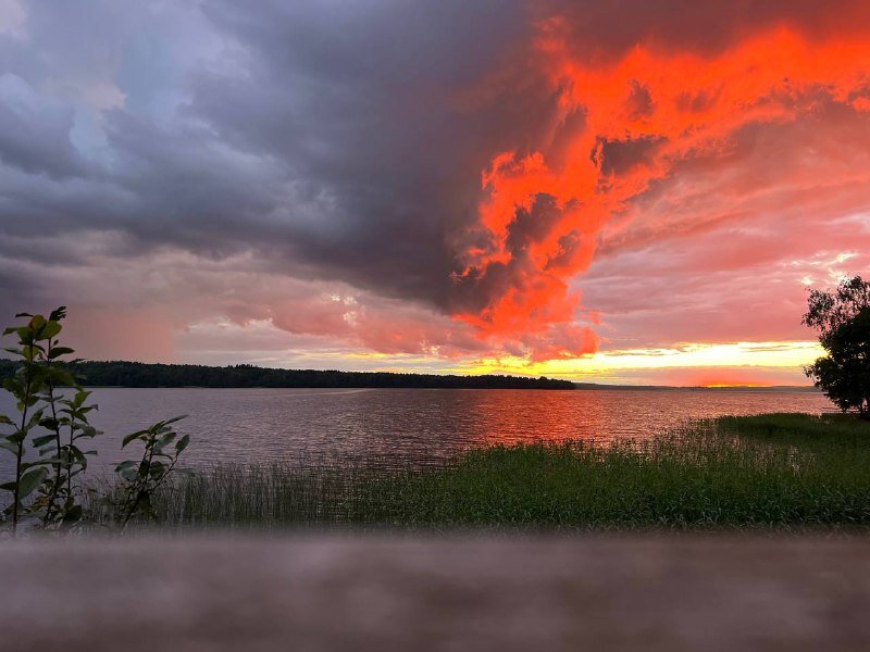 Перед грозой