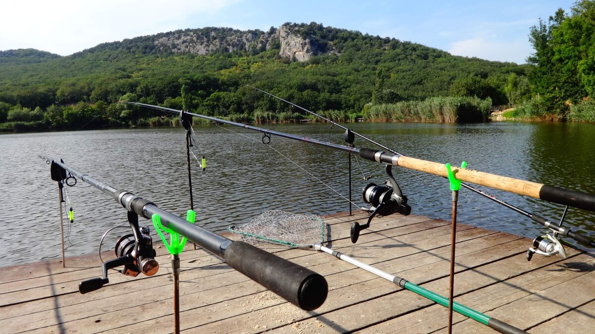 Фото автора. Торопова дача.