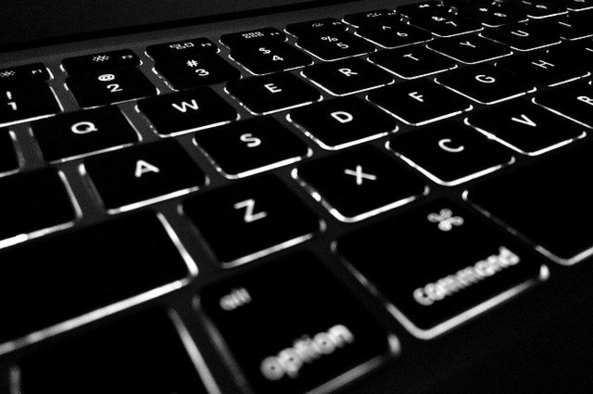    Tor Project разблокировали в РФ