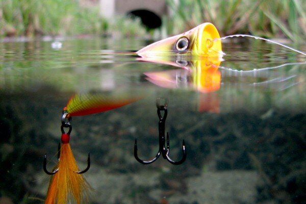 Что такое поппер