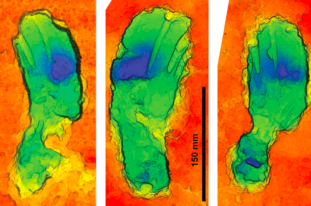 3D-сканирование следов. Тот момент, когда женщина ставила ребенка на землю. Фото: Bournemouth University