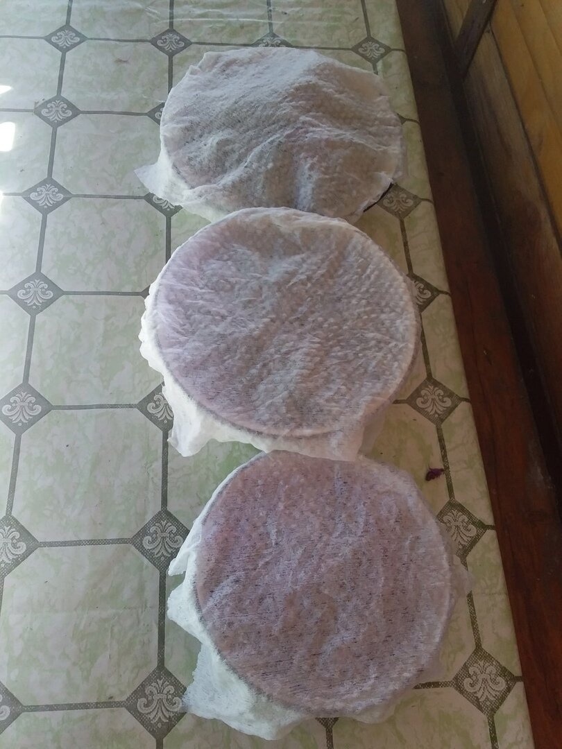 После ферментации закрываем влажными тряпочками