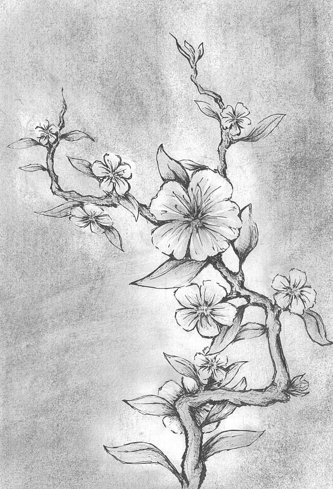 Взято с сайта bipbap.ru