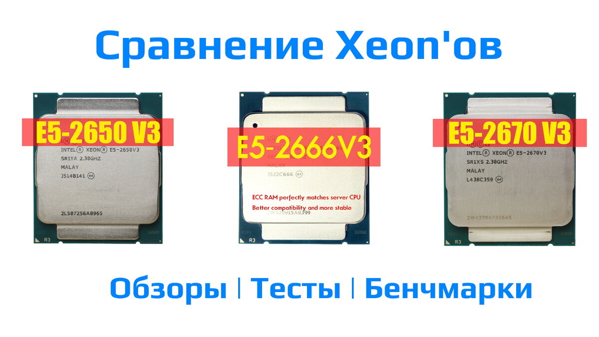 Сравнение популярных процессоров Intel Xeon