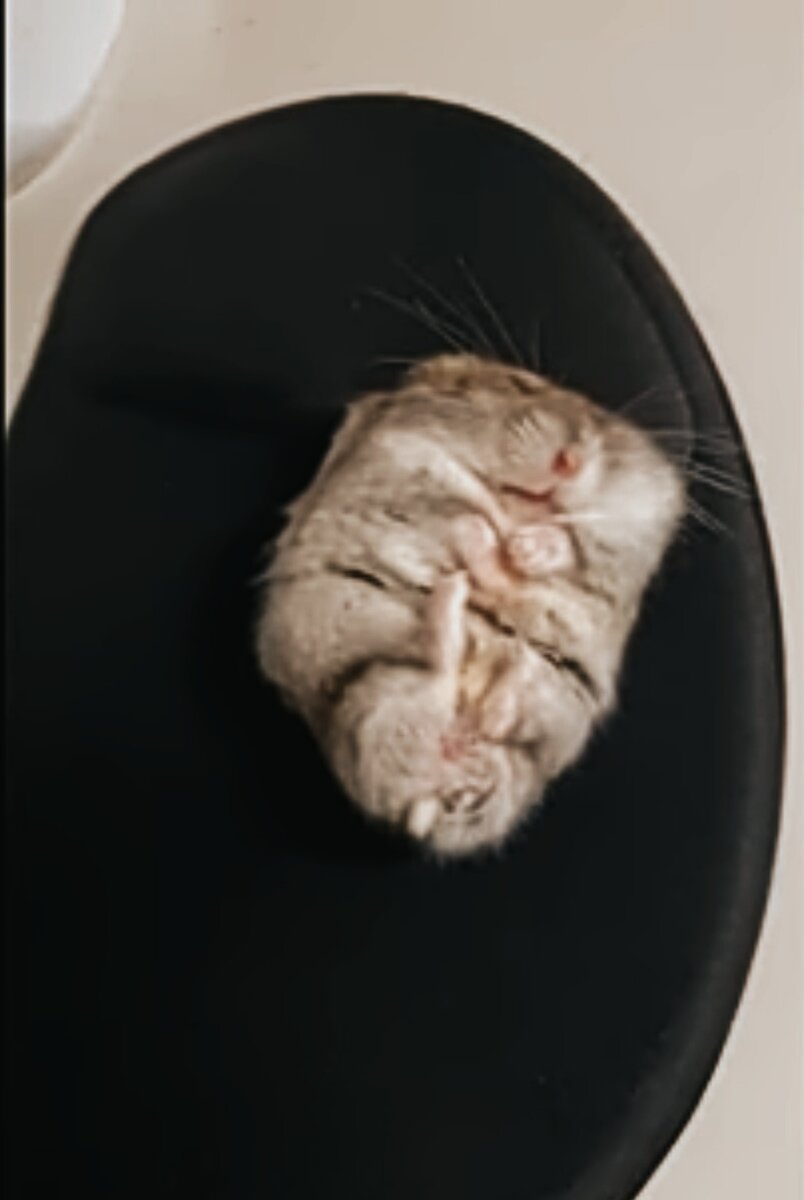 Фото взято из соц.сети