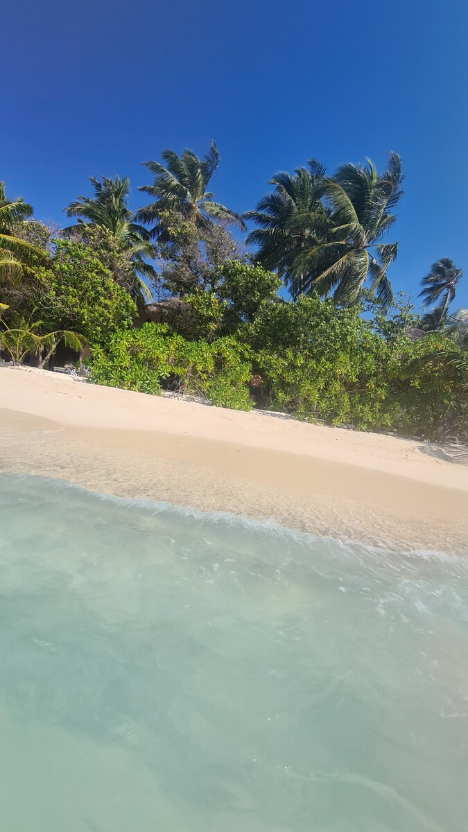 Наш остров. Фотография из личного архива автора 