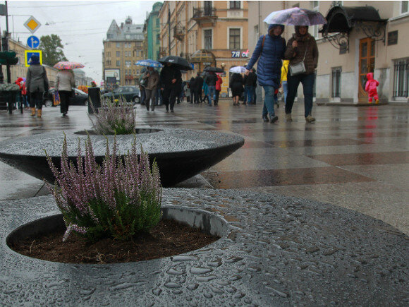   Фото с сайта gov.spb.ru