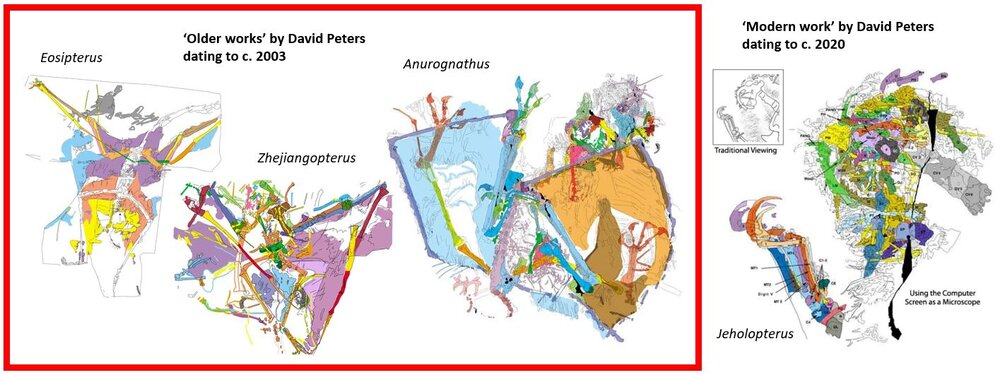 Дэвид Питерс утверждает, что его более ранние попытки интерпретировать ископаемых животных (таких как показанные здесь птерозавры) являются “старым бельем”, которое следует игнорировать, и не имеют отношения к его современным усилиям. Чего он не может понять, так это того, что он никогда не менялся и по-прежнему производит работу точно такого же качества. Это мусорная наука; возможно, было бы правильно назвать это псевдонаукой.