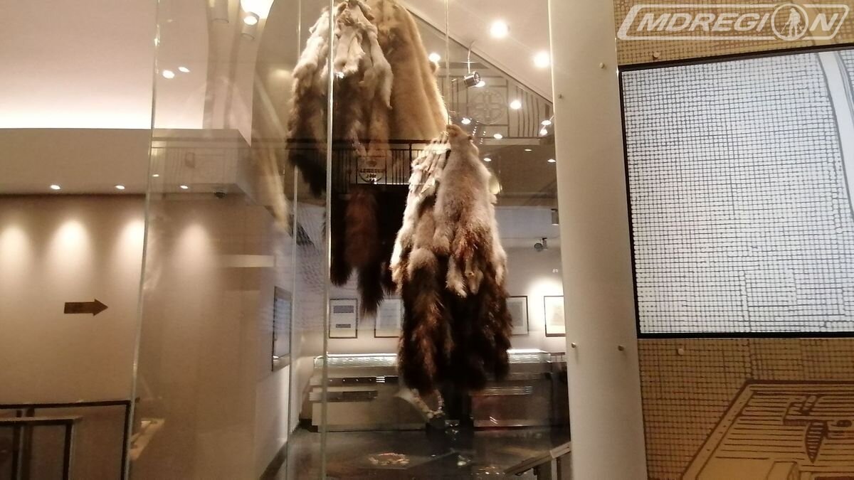 Экспонат Музея истории денег в Санкт-Петербурге.