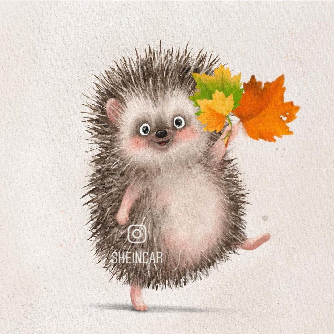 фото из интернета