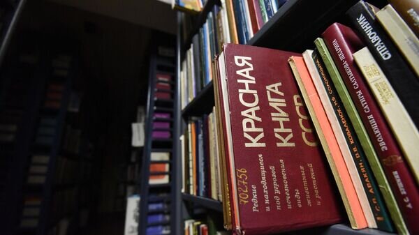   © Sputnik / Мария Амелина