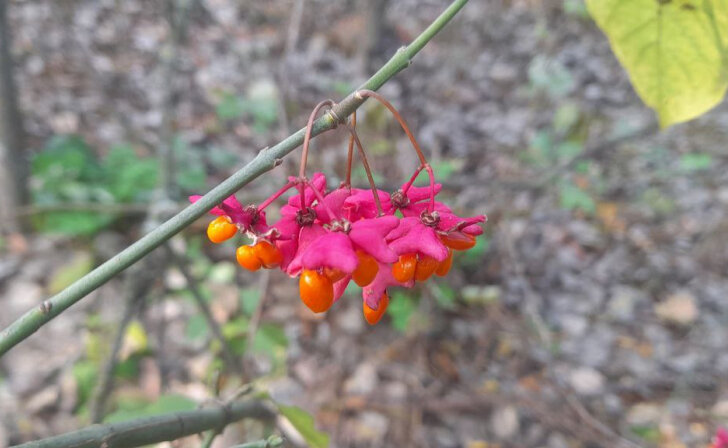    фото из архива Курских известий