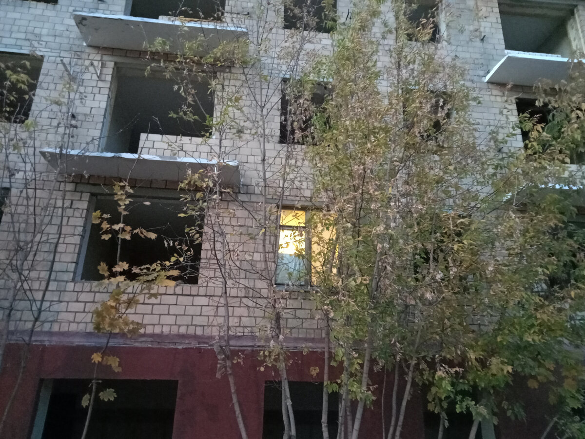 Одинокое обжитое окно.
