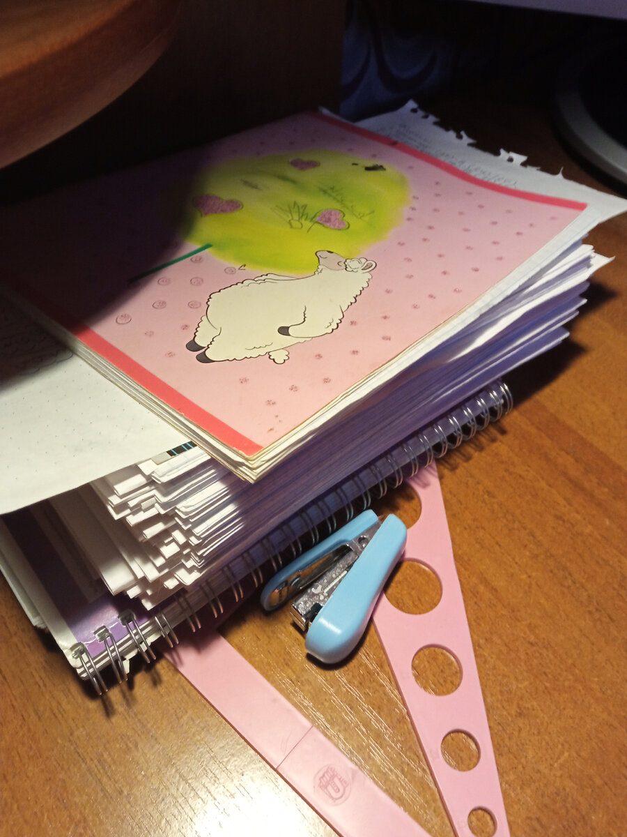 Это всё учётные тетрадки. 