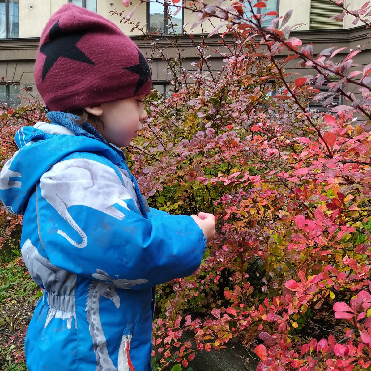 А это Сережа.)))Без вредных привычек)😄