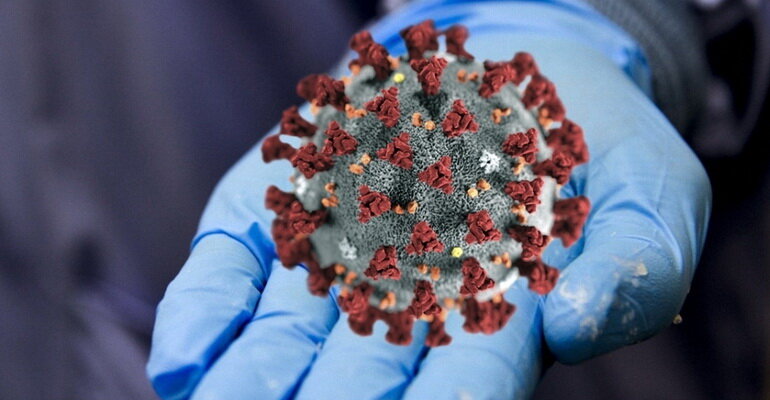    ФОТО: pixabay.com