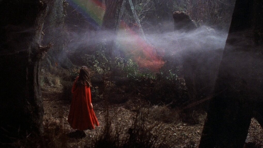 Кадр из фильма "В компании волков" (1984)