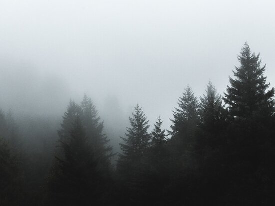     Фото Freepic.com