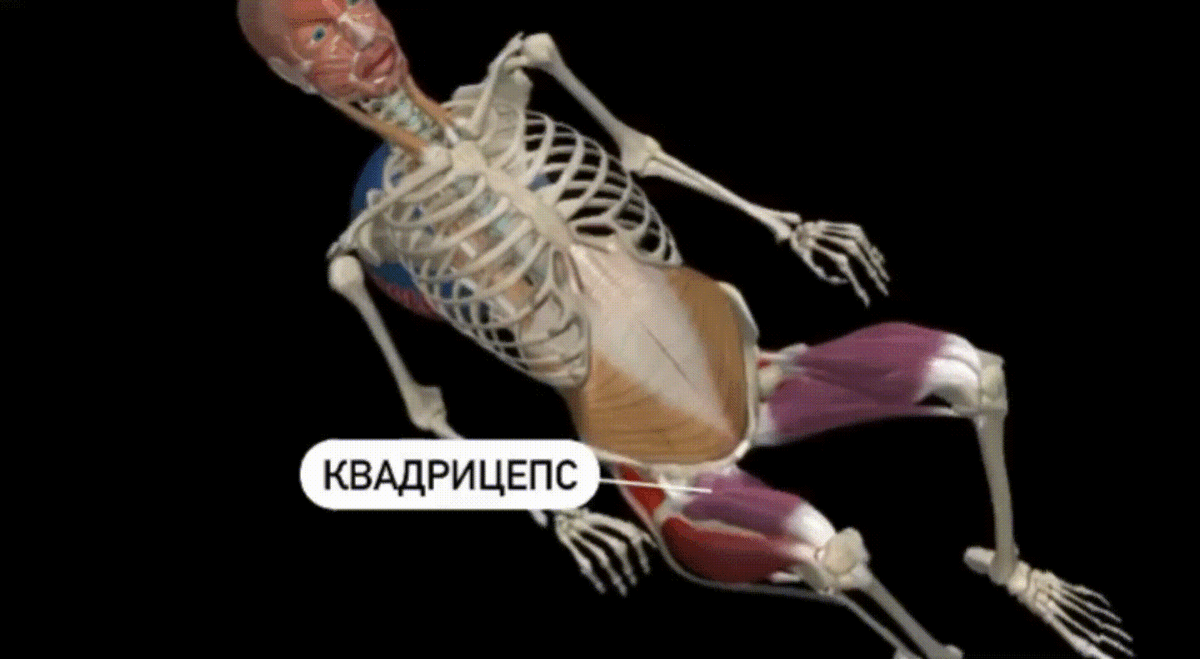 Ягодичный мостик