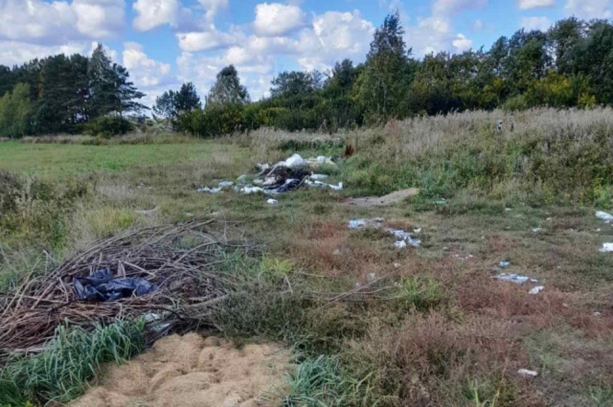    В Тюменском районе выявили незаконные свалки и наказали институт