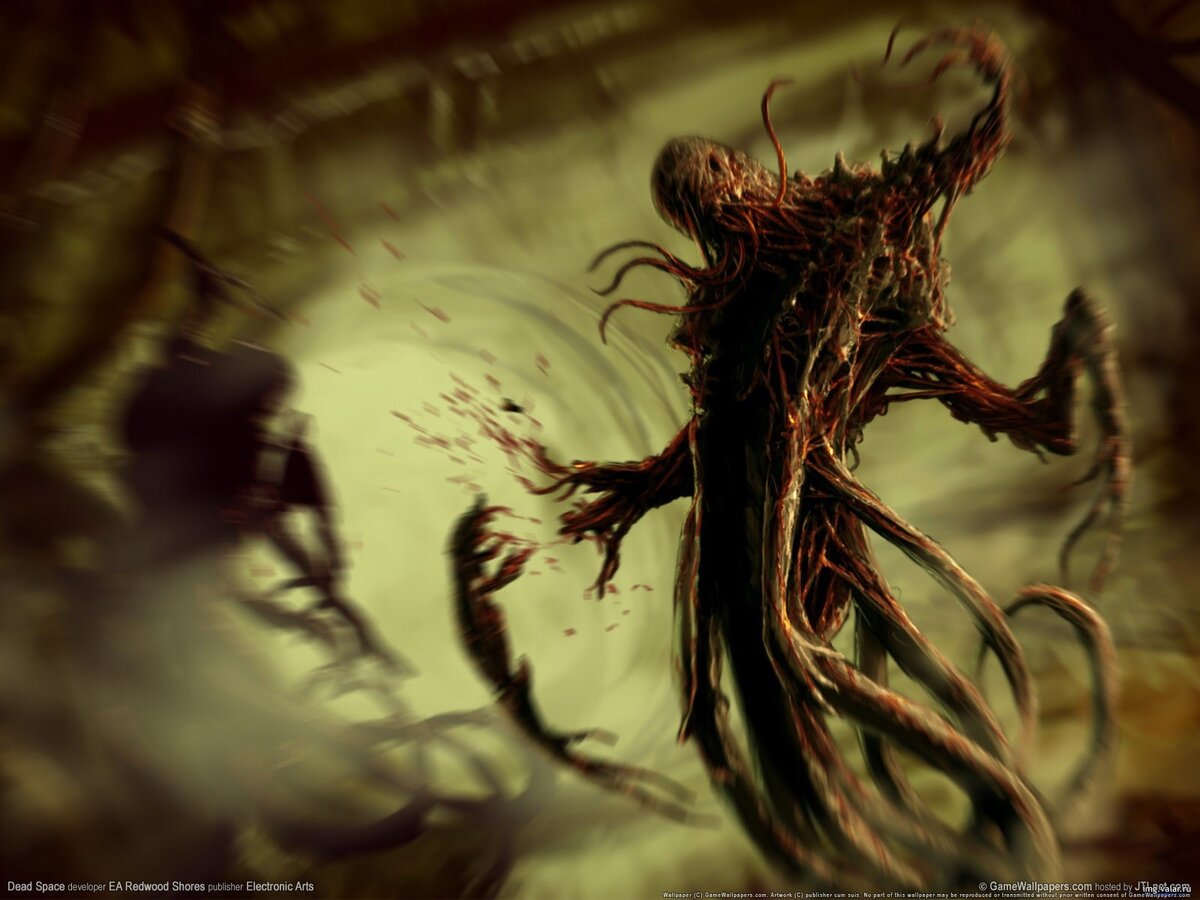 Изображение взято на сайте pinterest.com