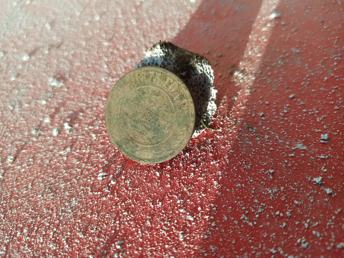 Находка на участке