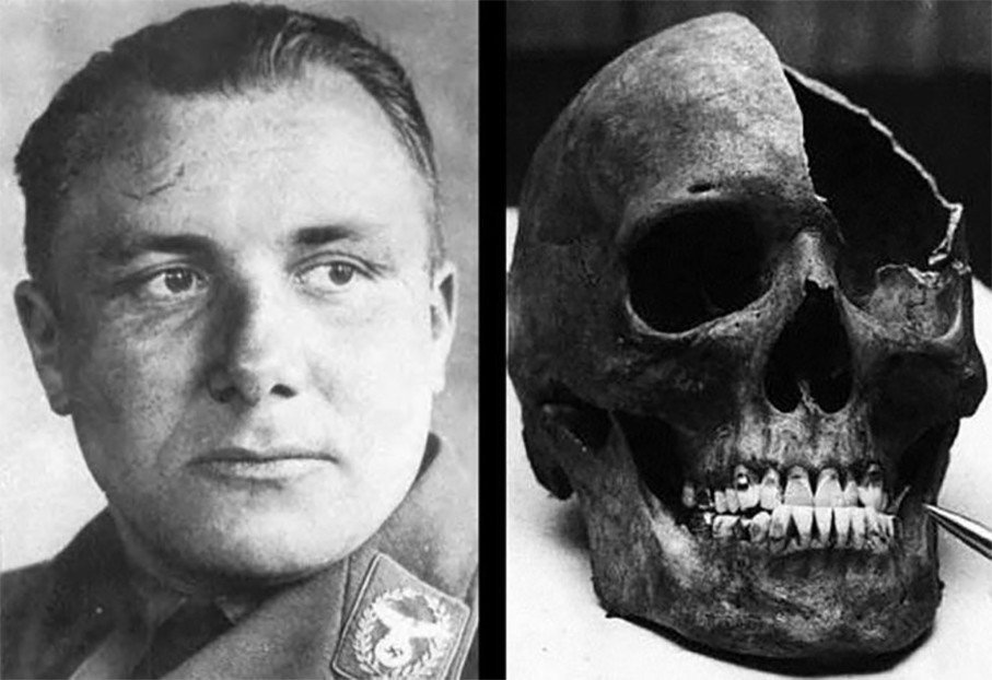 Портрет Мартина Бормана и найденный в 1972 году череп