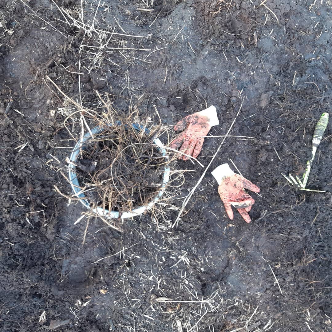 Казалось, что с этим мне не справиться никогда!