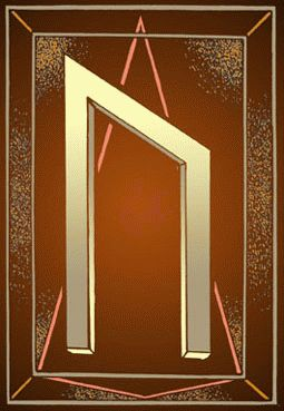 Фото из интернета.