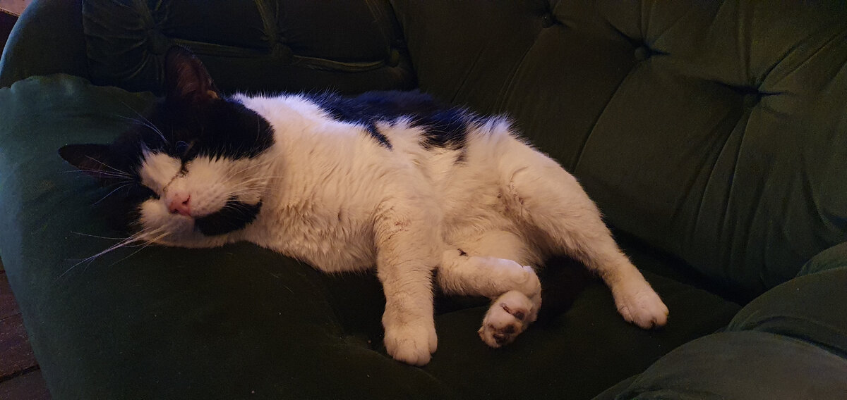 Р, фото автора