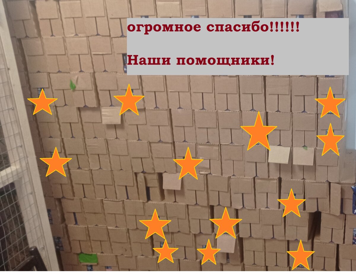 корм в приюте