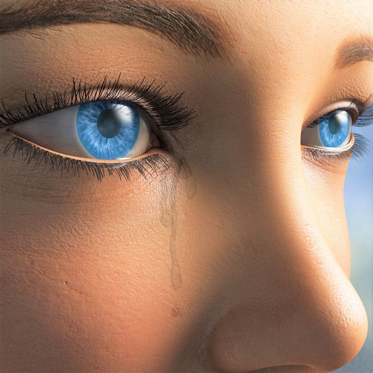 фото из свободного источника