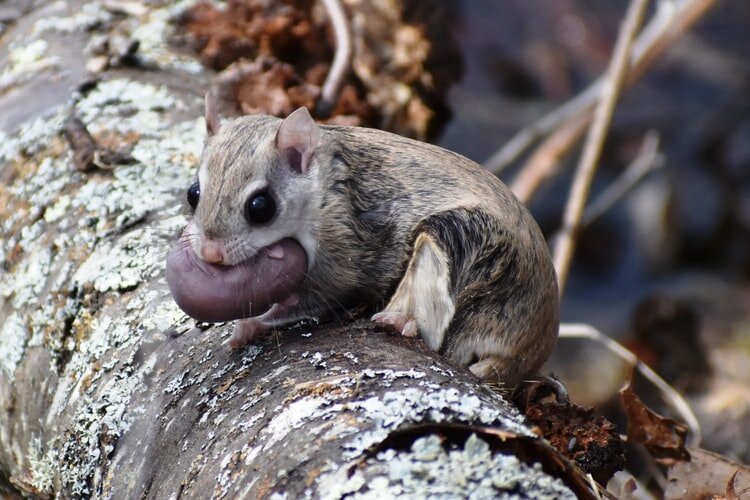 Воруют на самом деле все. Фото из свободных источников в интернете.
