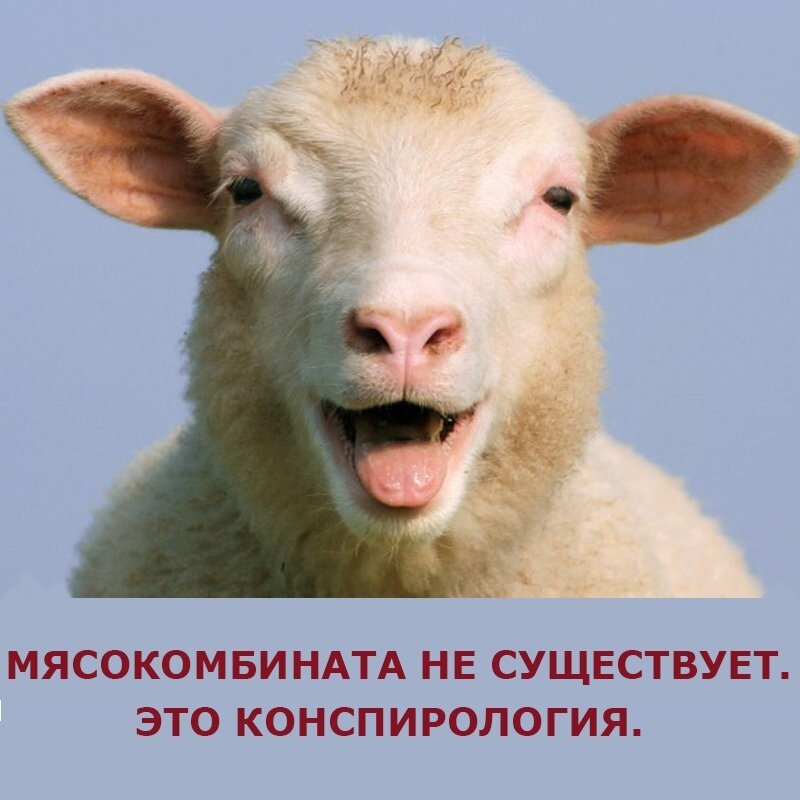 ни к чему не призываю, каждый пусть сам решает что делать!