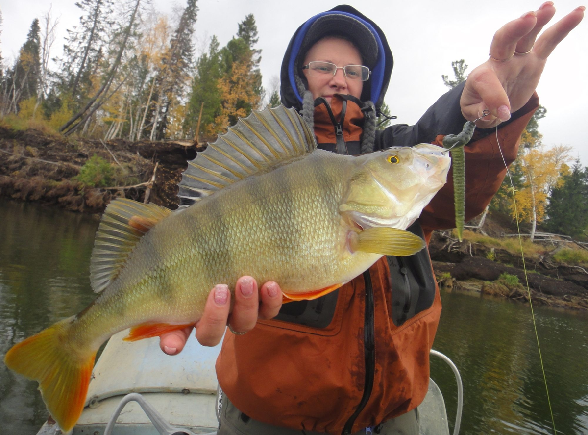 команда max fishing готовский. Fishing max. рыбалка на мах. рыбалка с максом. карельский окунь фото.