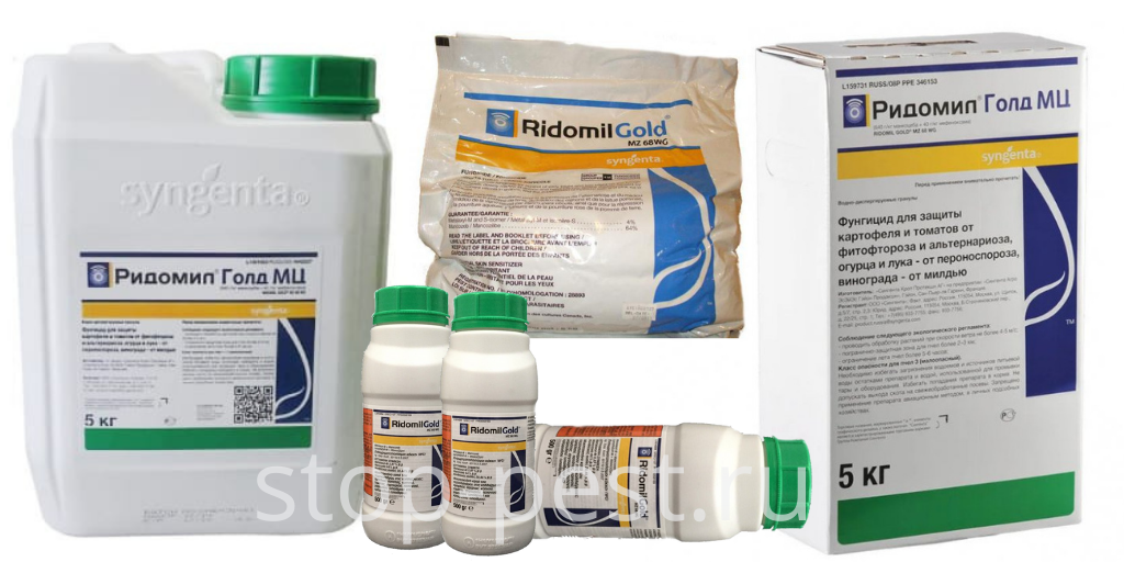 «Ридомил Голд» - защита от фитофтороза, милдью и др. коварных болезней ...