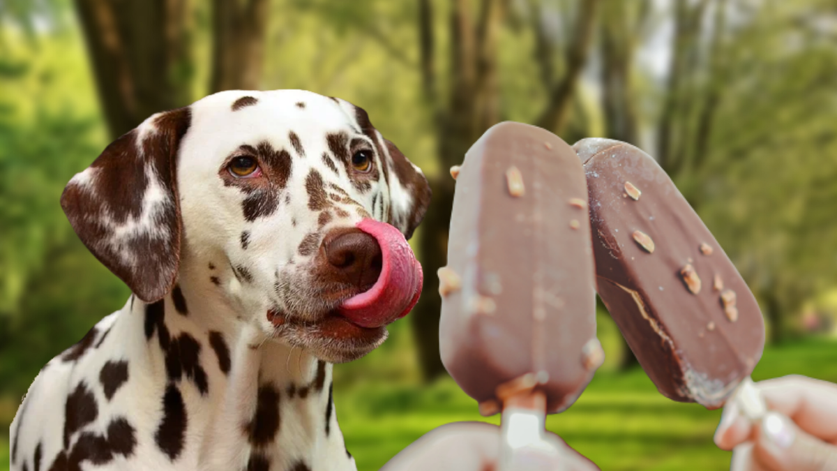 А если самое простое, самое качественное - может быть, можно?