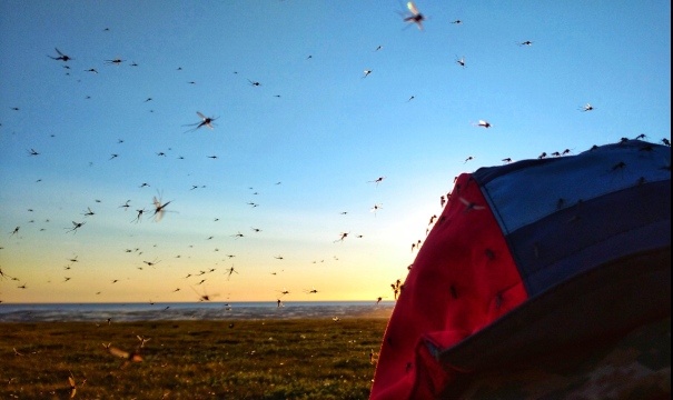 Здесь в составе атмосферы есть ещё один элемент - комарод