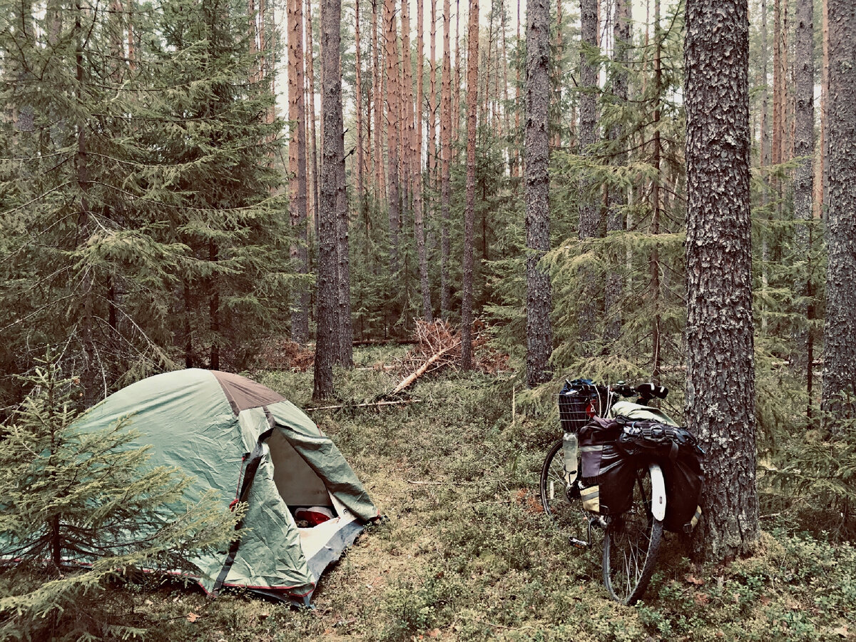Фото автора, сделанное во время велопутешествия в Вологду в 2020 году.