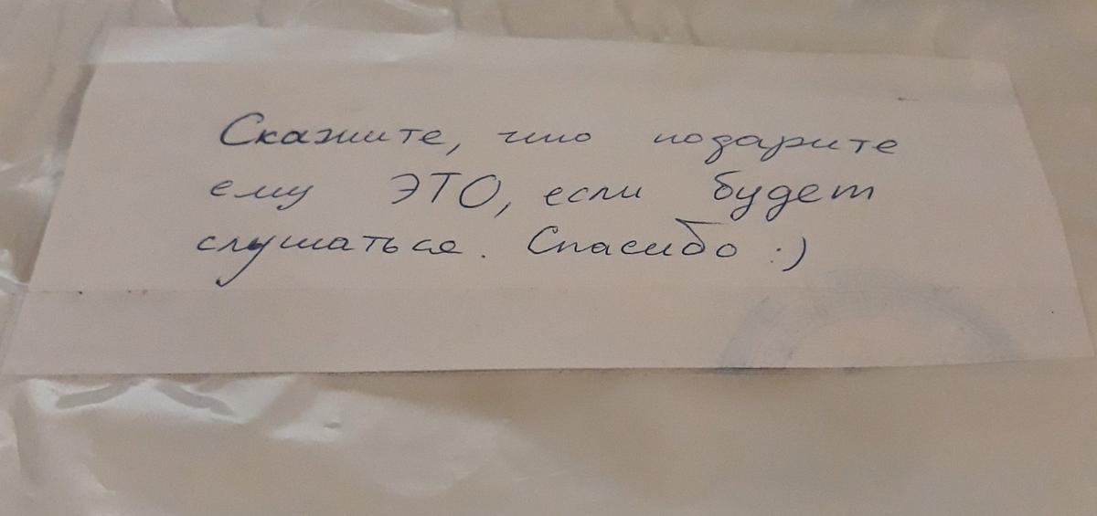 Авторское фото. Не пугайтесь, почерк у меня кривой это правда, и пишу от руки редко, поэтому, хорошо хоть буквы вспомнила:)